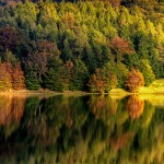 Lago Calamone